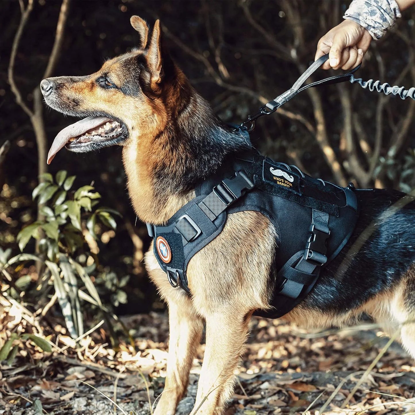 PeakPaw Tactical Dog Harness — No-Pull, No-Slip, Built for Large Breeds