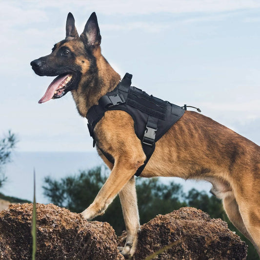 PeakPaw Tactical Dog Harness — No-Pull, No-Slip, Built for Large Breeds